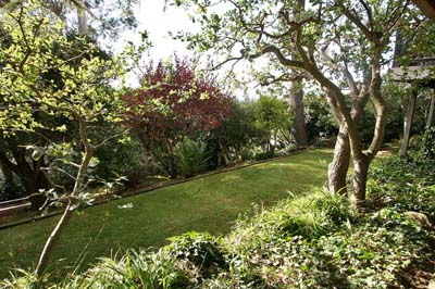 20_lawn_and_garden_2
